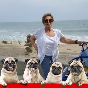 Meet your Posher, Joyce